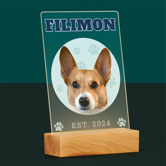 Personajul Tău: Câinele Tău Varsity - Imprimare Pe Sticlă Acrilică (Verticală)