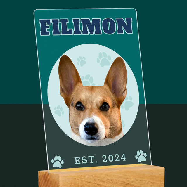 Personajul Tău: Câinele Tău Varsity - Imprimare Pe Sticlă Acrilică (Verticală)