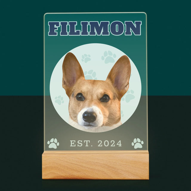 Personajul Tău: Câinele Tău Varsity - Imprimare Pe Sticlă Acrilică (Verticală)