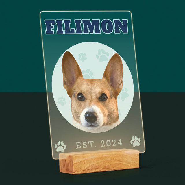 Personajul Tău: Câinele Tău Varsity - Imprimare Pe Sticlă Acrilică (Verticală)