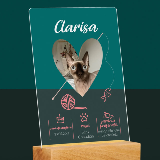 Fotografie Si Semnătură: Mâț Certificat De Naștere - Imprimare Pe Sticlă Acrilică (Verticală)