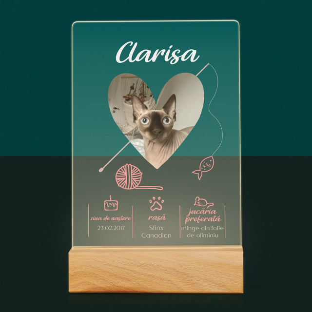 Fotografie Si Semnătură: Mâț Certificat De Naștere - Imprimare Pe Sticlă Acrilică (Verticală)