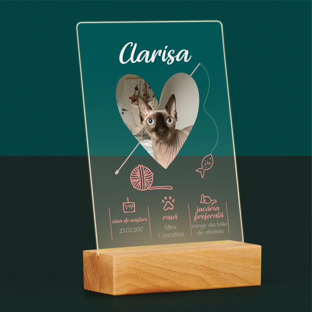 Fotografie Si Semnătură: Mâț Certificat De Naștere - Imprimare Pe Sticlă Acrilică (Verticală)