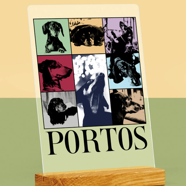 Colaj De Fotografii: Cățeluș Ca Taylor - Imprimare Pe Sticlă Acrilică (Verticală)