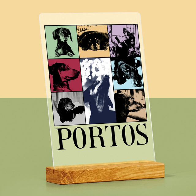 Colaj De Fotografii: Cățeluș Ca Taylor - Imprimare Pe Sticlă Acrilică (Verticală)