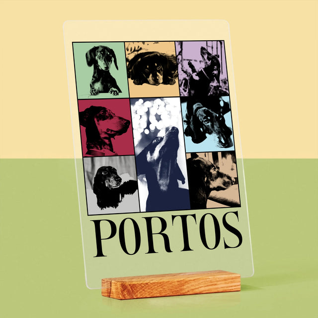 Colaj De Fotografii: Cățeluș Ca Taylor - Imprimare Pe Sticlă Acrilică (Verticală)