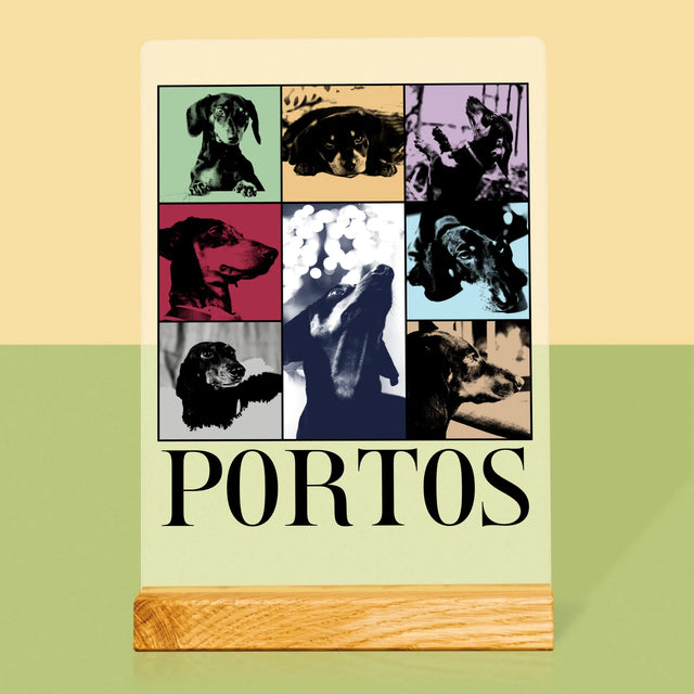 Colaj De Fotografii: Cățeluș Ca Taylor - Imprimare Pe Sticlă Acrilică (Verticală)