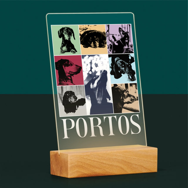 Colaj De Fotografii: Cățeluș Ca Taylor - Imprimare Pe Sticlă Acrilică (Verticală)