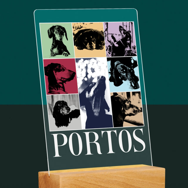 Colaj De Fotografii: Cățeluș Ca Taylor - Imprimare Pe Sticlă Acrilică (Verticală)