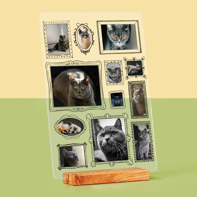 Colaj De Fotografii: Perete Galereia Cu Pisic - Imprimare Pe Sticlă Acrilică (Verticală)