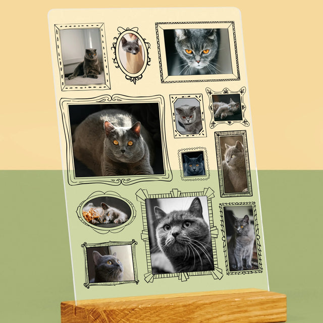 Colaj De Fotografii: Perete Galereia Cu Pisic - Imprimare Pe Sticlă Acrilică (Verticală)