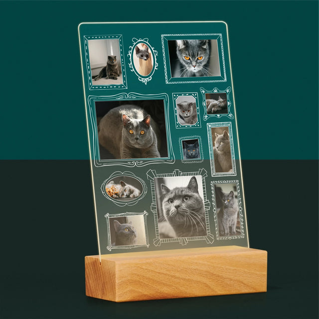 Colaj De Fotografii: Perete Galereia Cu Pisic - Imprimare Pe Sticlă Acrilică (Verticală)