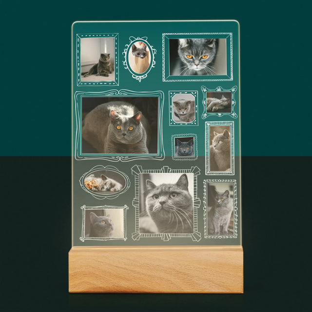 Colaj De Fotografii: Perete Galereia Cu Pisic - Imprimare Pe Sticlă Acrilică (Verticală)