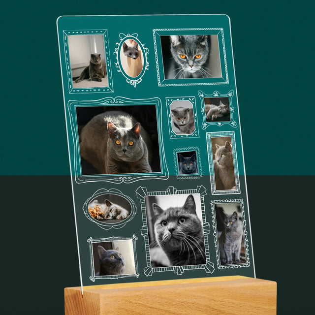 Colaj De Fotografii: Perete Galereia Cu Pisic - Imprimare Pe Sticlă Acrilică (Verticală)