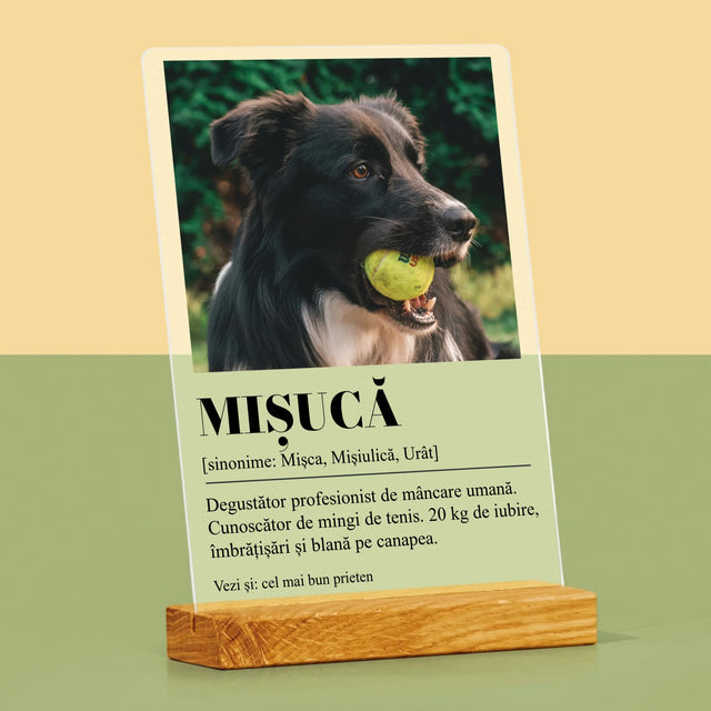 Fotografie Si Semnătură: Cățeluș Definiția - Imprimare Pe Sticlă Acrilică (Verticală)