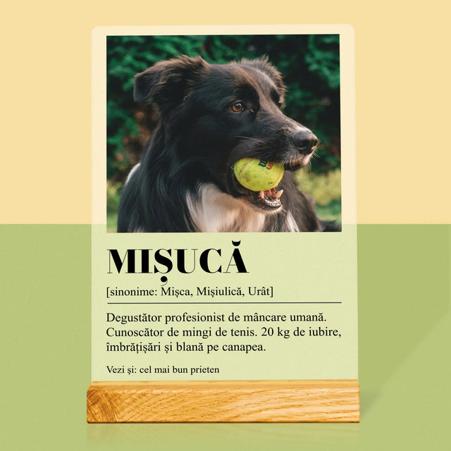 Fotografie Si Semnătură: Cățeluș Definiția - Imprimare Pe Sticlă Acrilică (Verticală)