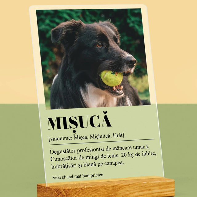 Fotografie Si Semnătură: Cățeluș Definiția - Imprimare Pe Sticlă Acrilică (Verticală)