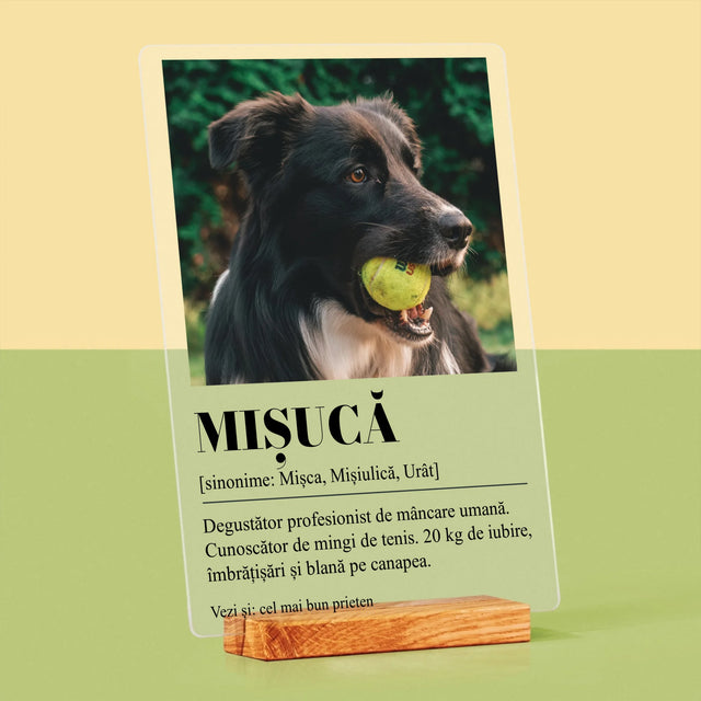 Fotografie Si Semnătură: Cățeluș Definiția - Imprimare Pe Sticlă Acrilică (Verticală)