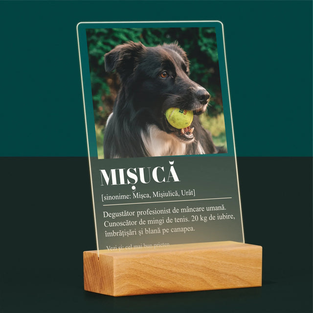 Fotografie Si Semnătură: Cățeluș Definiția - Imprimare Pe Sticlă Acrilică (Verticală)