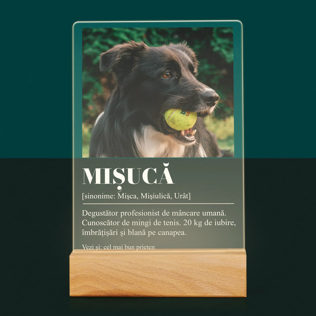 Fotografie Si Semnătură: Cățeluș Definiția - Imprimare Pe Sticlă Acrilică (Verticală)