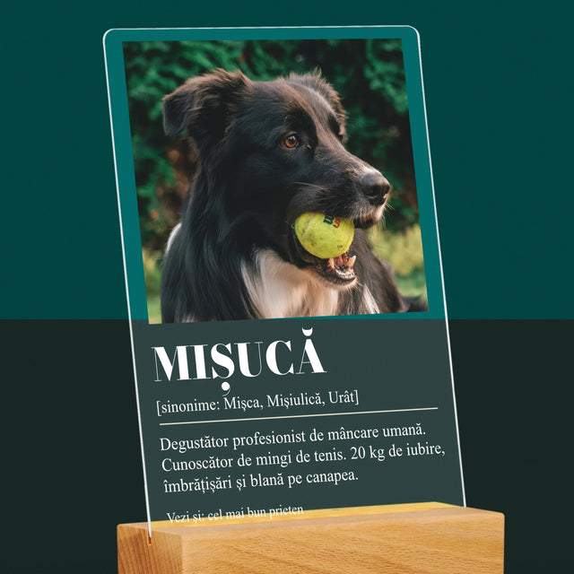 Fotografie Si Semnătură: Cățeluș Definiția - Imprimare Pe Sticlă Acrilică (Verticală)