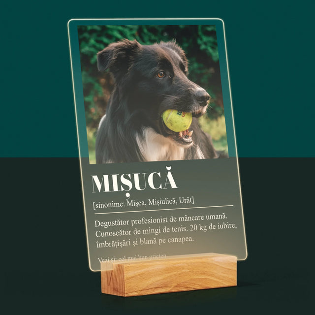 Fotografie Si Semnătură: Cățeluș Definiția - Imprimare Pe Sticlă Acrilică (Verticală)