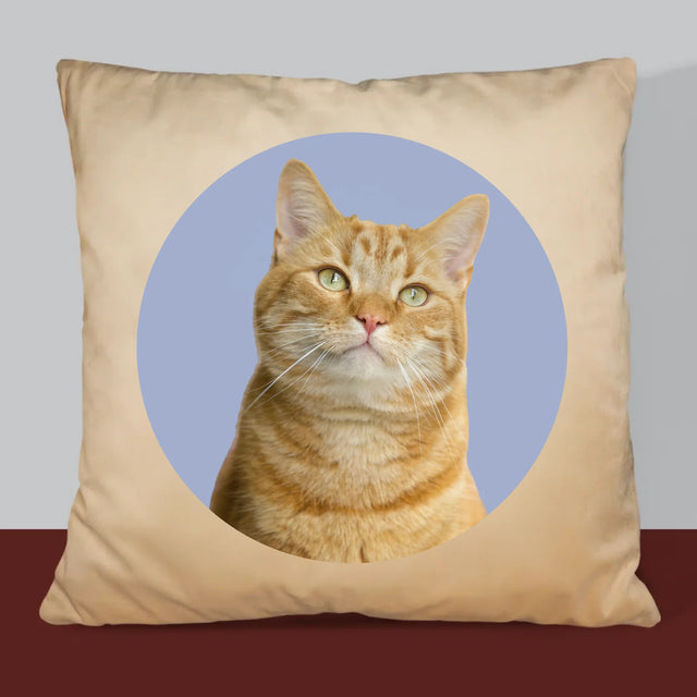 Fotografie Si Semnătură: Pisicul Tău - Pernă (Cu Fotografie)