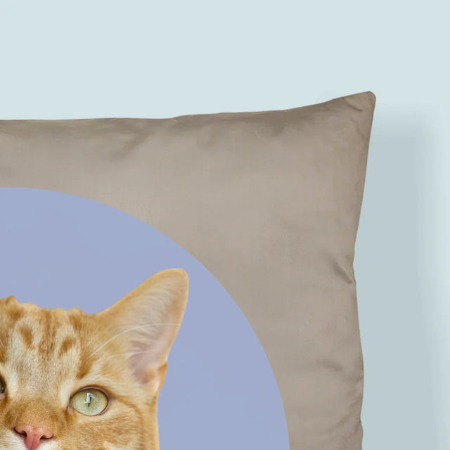 Fotografie Si Semnătură: Pisicul Tău - Pernă (Cu Fotografie)