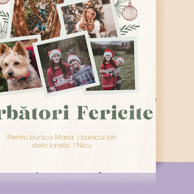 Colaj De Fotografii: Brad - Poster