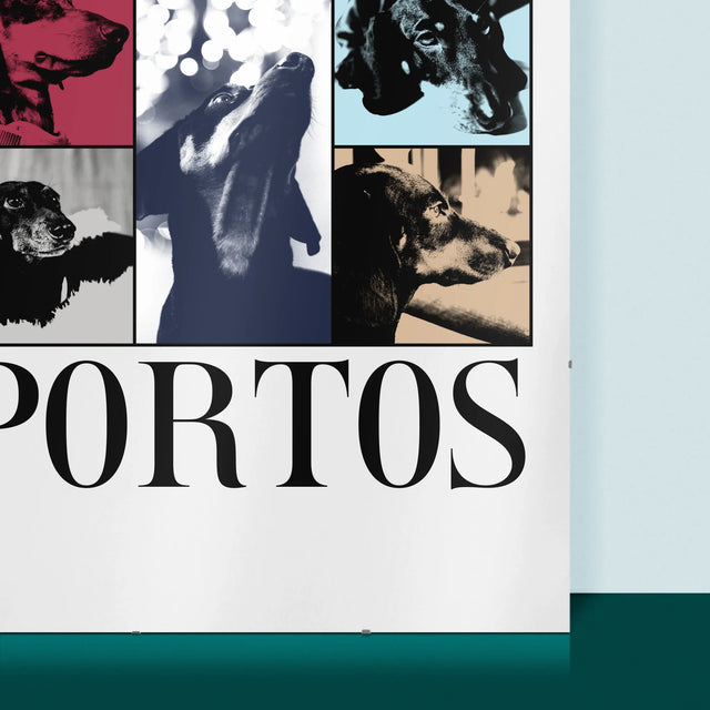 Colaj De Fotografii: Cățeluș Ca Taylor - Poster