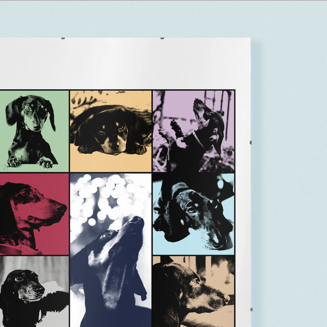 Colaj De Fotografii: Cățeluș Ca Taylor - Poster