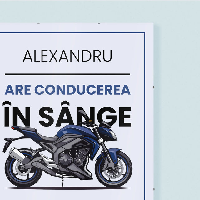 Colaj foto: Șofatul îi este în sânge - Poster personalizat | RO