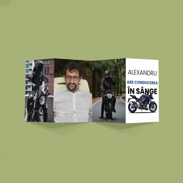 Colaj foto: Are condusul în sânge - Muzicuță mare din fotografii | RO