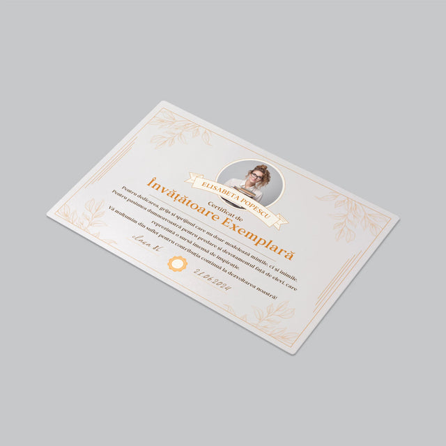 Fotografie Si Semnătură: Certificat De Învățătoare Exemplară - Mapa De Birou