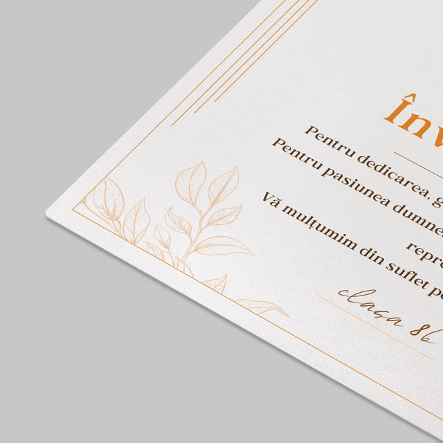 Fotografie Si Semnătură: Certificat De Învățătoare Exemplară - Mapa De Birou