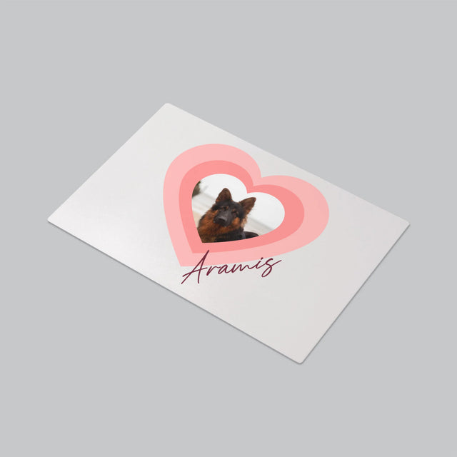 Fotografie Si Semnătură: Fotografia Cățelușului În Inimă - Mapa De Birou