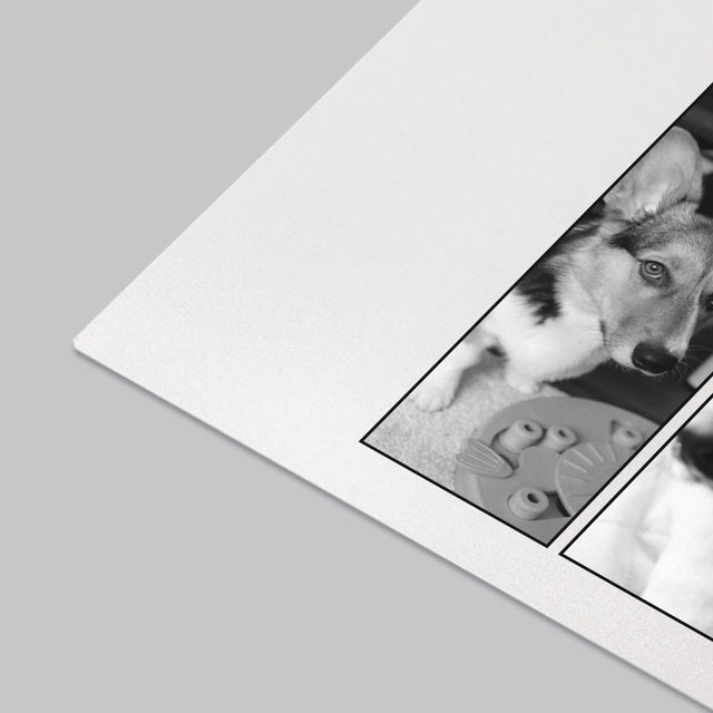 Colaj De Fotografii: Bootleg Clasic Cu Cățeluș - Mapa De Birou