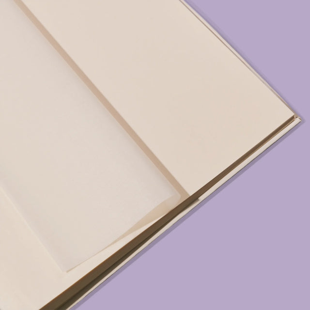 Colaj De Fotografii: Brad - Album Foto