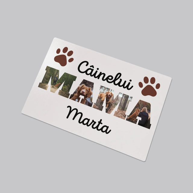 Cuvânt Din Fotografii: Mama Câinelui Din Fotografiile Tale - Mapa De Birou