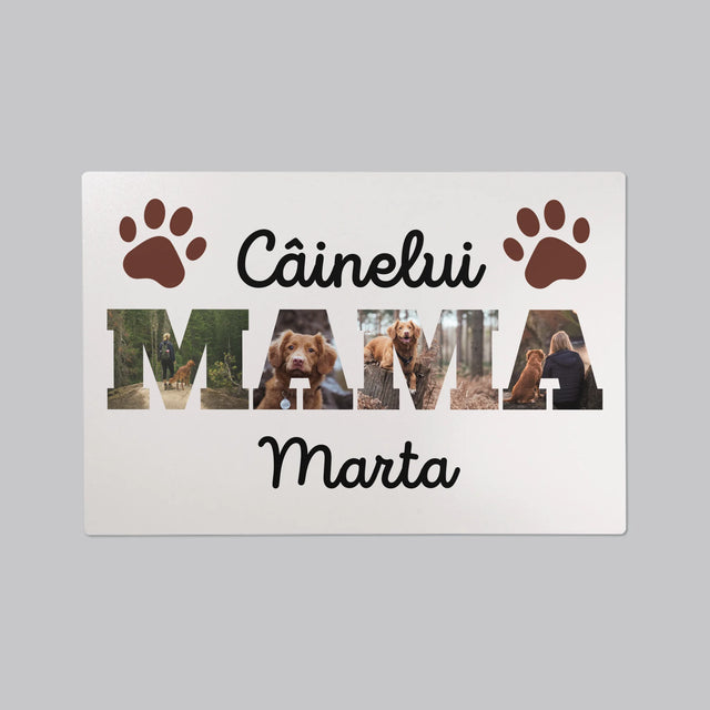 Cuvânt Din Fotografii: Mama Câinelui Din Fotografiile Tale - Mapa De Birou