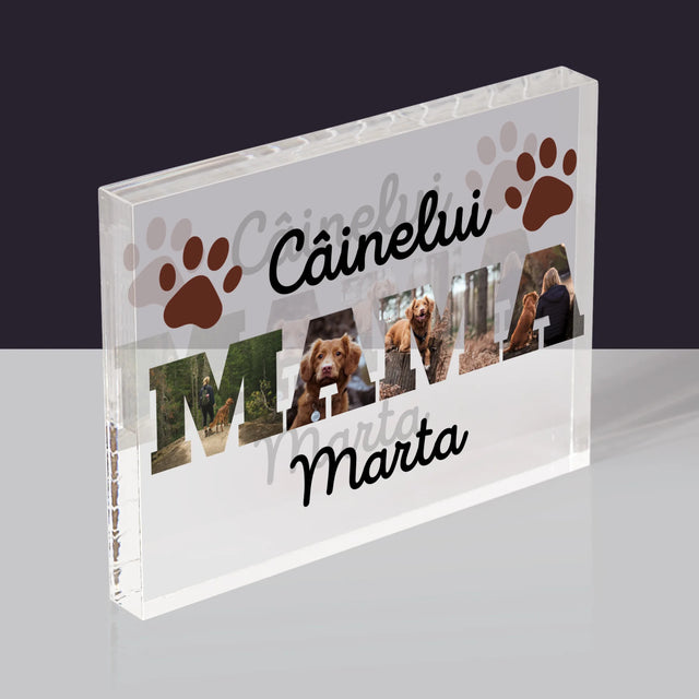 Cuvânt Din Fotografii: Mama Câinelui Din Fotografiile Tale - Bloc Acrilic