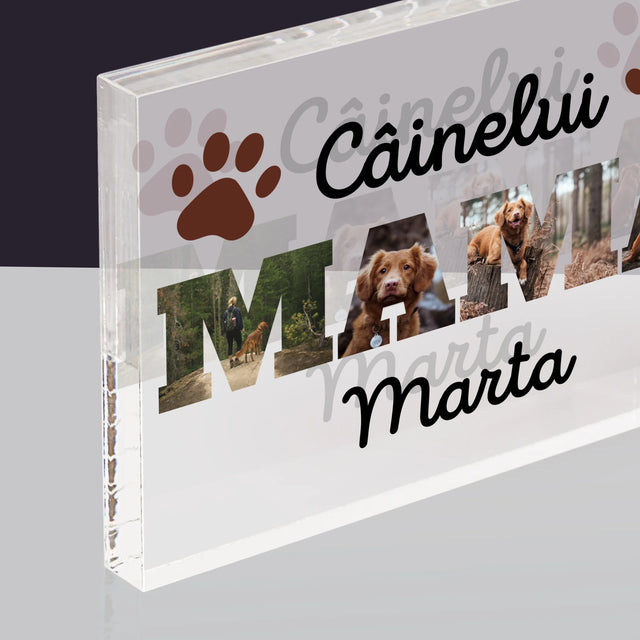 Cuvânt Din Fotografii: Mama Câinelui Din Fotografiile Tale - Bloc Acrilic
