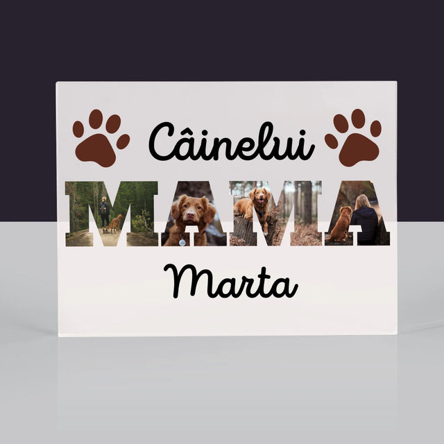 Cuvânt Din Fotografii: Mama Câinelui Din Fotografiile Tale - Bloc Acrilic
