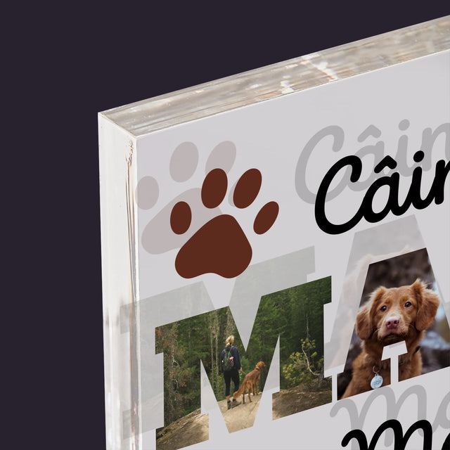 Cuvânt Din Fotografii: Mama Câinelui Din Fotografiile Tale - Bloc Acrilic