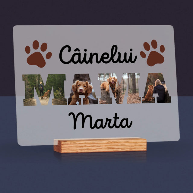Cuvânt Din Fotografii: Mama Câinelui Din Fotografiile Tale - Imprimare Pe Sticlă Acrilică (Horizontală)