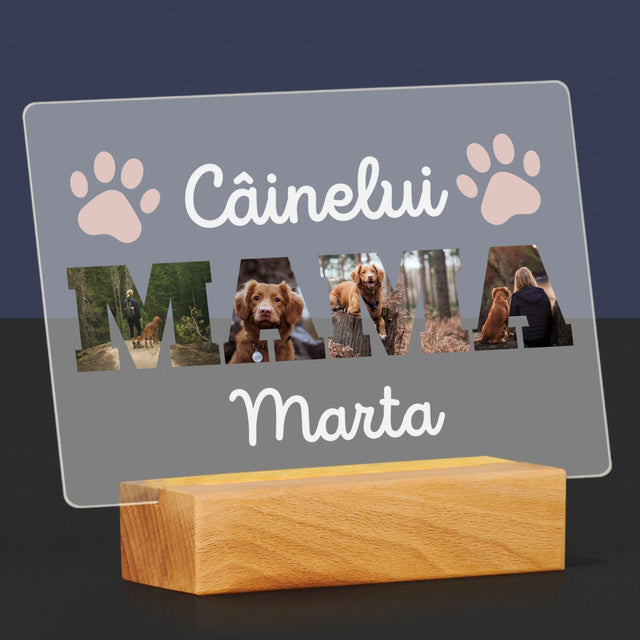 Cuvânt Din Fotografii: Mama Câinelui Din Fotografiile Tale - Imprimare Pe Sticlă Acrilică (Horizontală)