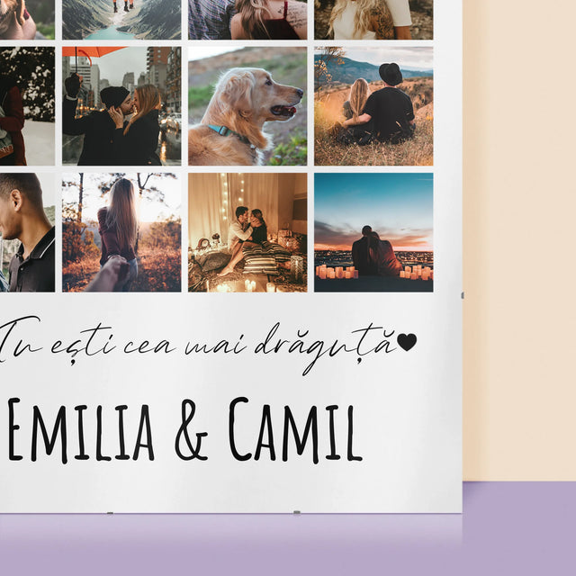 Colaj De Fotografii: Din Totă Lumea Pe Pământ - Poster