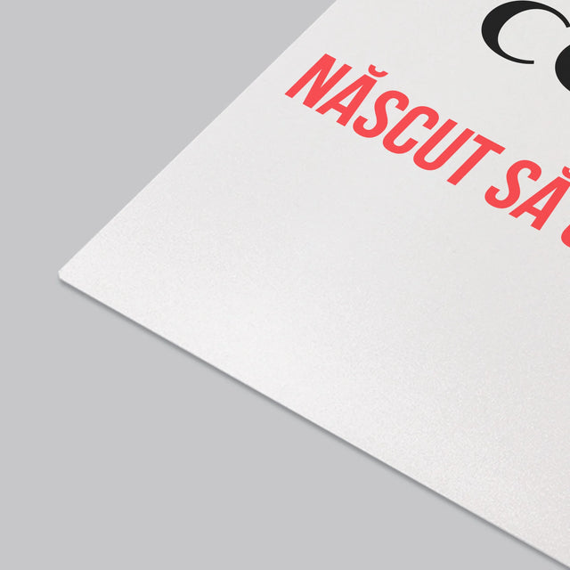 Fotografie Si Semnătură: Născut Să Călărească - Mapa De Birou