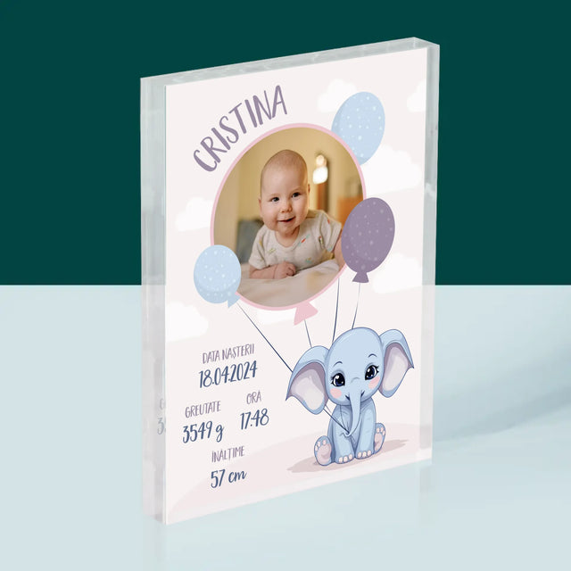 Certificat De Naștere: Certificat De Naștere Elefant - Bloc Acrilic