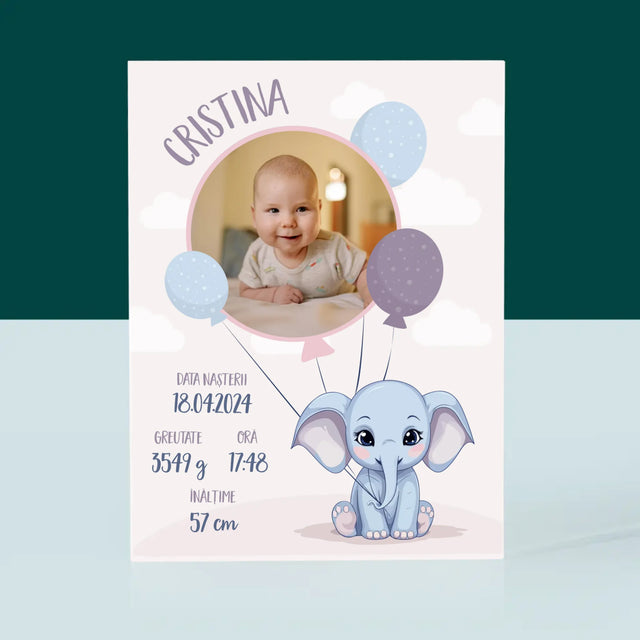 Certificat De Naștere: Certificat De Naștere Elefant - Bloc Acrilic